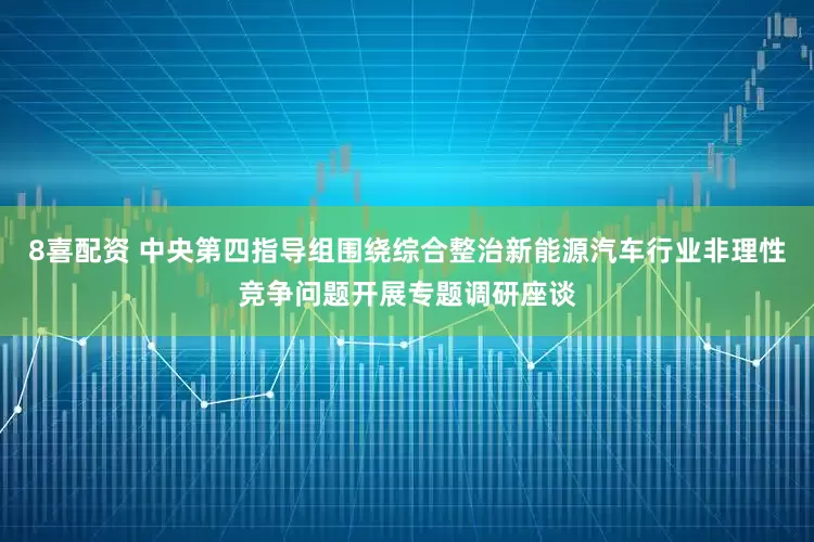 8喜配资 中央第四指导组围绕综合整治新能源汽车行业非理性竞争问题开展专题调研座谈