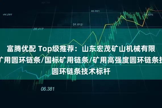 富腾优配 Top级推荐：山东宏茂矿山机械有限公司，矿用圆环链条/国标矿用链条/矿用高强度圆环链条技术标杆